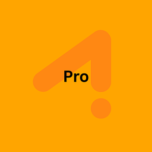 Pro Email Package12-Month Subscription